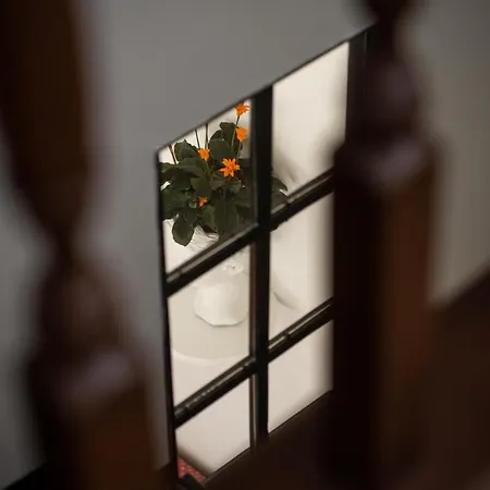 Apartment Parka Namins - 2 Stavu Namins Viesturdarza Perlu Medniekiem!