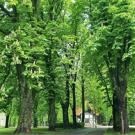 2stavu Parka Namins Viesturdarza Perlu Medniekiem! *