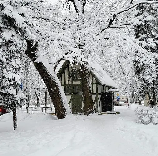 Parka Namins - 2 Stavu Namins Viesturdarza Perlu Medniekiem! * リガ