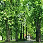 Parka Namins - 2 Stavu Namins Viesturdarza Perlu Medniekiem! *