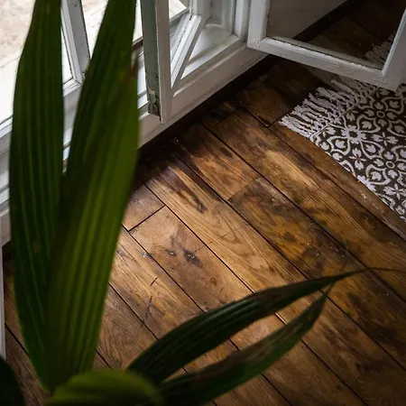 Parka Namins - 2 Stavu Namins Viesturdarza Perlu Medniekiem! * Riga